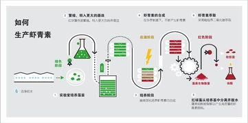 普正生物2019新品發布 生物技術驅動的無糖凝膠糖果創新開發